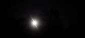 Enlarge photo 233