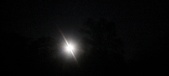 Enlarge photo 232
