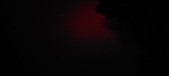 Enlarge photo 222