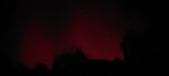 Enlarge photo 228