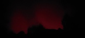 Enlarge photo 229