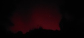 Enlarge photo 230