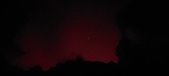 Enlarge photo 231