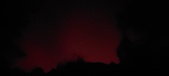 Enlarge photo 219