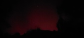 Enlarge photo 218
