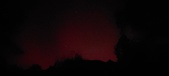 Enlarge photo 217