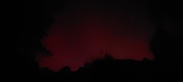 Enlarge photo 216