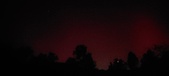 Enlarge photo 215