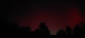 Enlarge photo 211