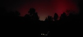 Enlarge photo 203