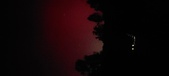 Enlarge photo 193