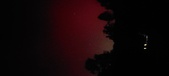 Enlarge photo 194