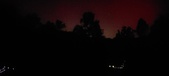 Enlarge photo 190