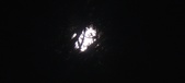 Enlarge photo 164