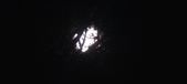 Enlarge photo 163