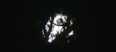 Enlarge photo 162