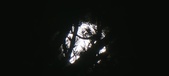 Enlarge photo 161