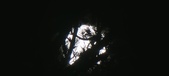 Enlarge photo 157