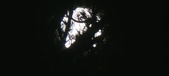 Enlarge photo 158