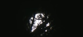 Enlarge photo 159