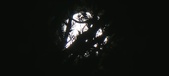 Enlarge photo 160