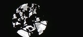 Enlarge photo 154