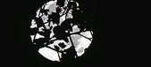 Enlarge photo 153