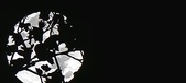 Enlarge photo 149