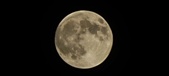 Enlarge photo 137