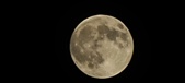 Enlarge photo 138