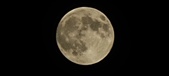 Enlarge photo 139