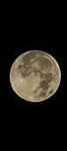 Enlarge photo 136