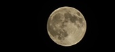 Enlarge photo 135