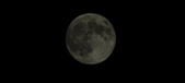 Enlarge photo 134