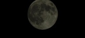 Enlarge photo 133