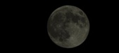 Enlarge photo 129