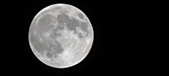 Enlarge photo 130