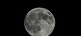 Enlarge photo 131