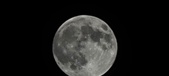Enlarge photo 132