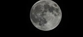 Enlarge photo 128