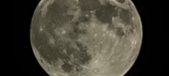 Enlarge photo 127