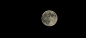 Enlarge photo 126