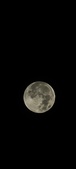 Enlarge photo 125