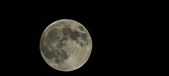 Enlarge photo 121