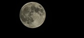 Enlarge photo 122