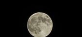 Enlarge photo 124