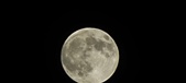 Enlarge photo 119