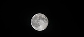 Enlarge photo 112