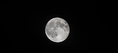 Enlarge photo 111