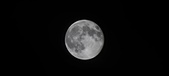 Enlarge photo 110